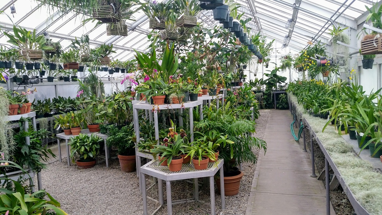 Carrie Underwoods EPIC Greenhouse Buildout - @carrieunderwood
