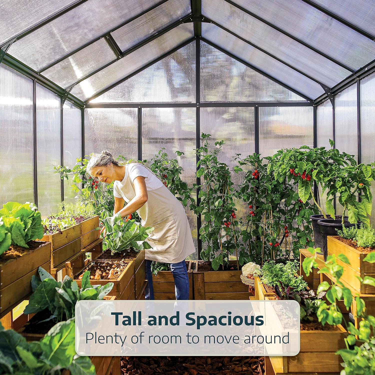 Palram - Canopia Glory Greenhouse - 8 x 12 - Gray