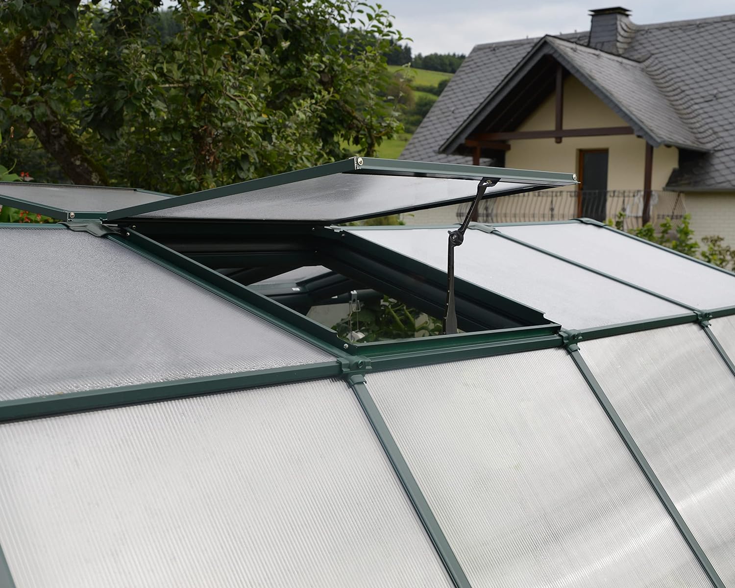Rion HG7220 Grand Gardener Greenhouse, 8 x 20, Dark Green