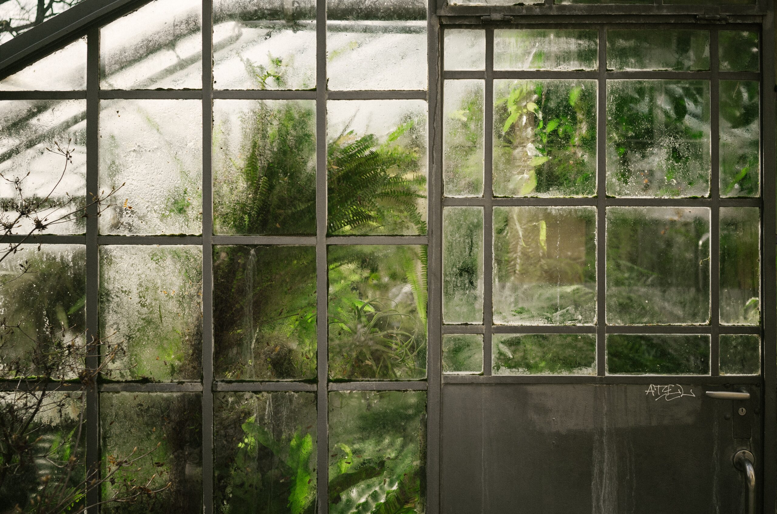 What Are The Features Of Lexan Greenhouse Panels?