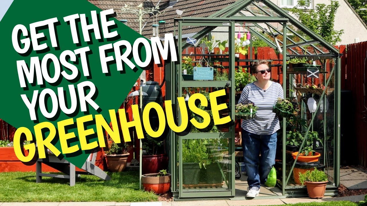 Maximise the potential of your small greenhouse