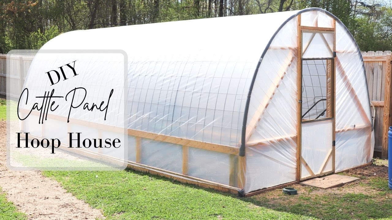 DIY Cattle Panel Hoop House || Build Your Own Cheap  Easy!