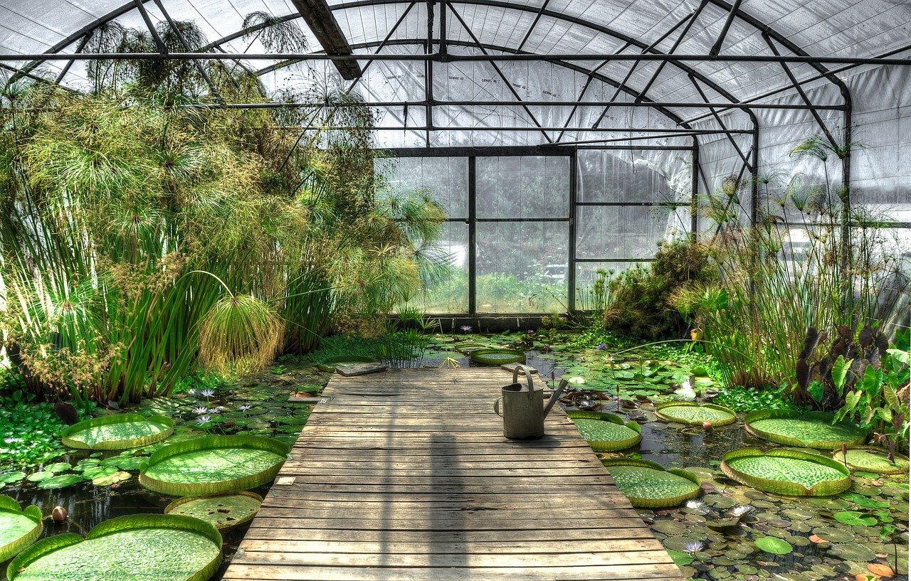 Greenhouse Tour, its Finished! ???? Parkside by BC Greenhouse Builders ???? Hows It Growing?