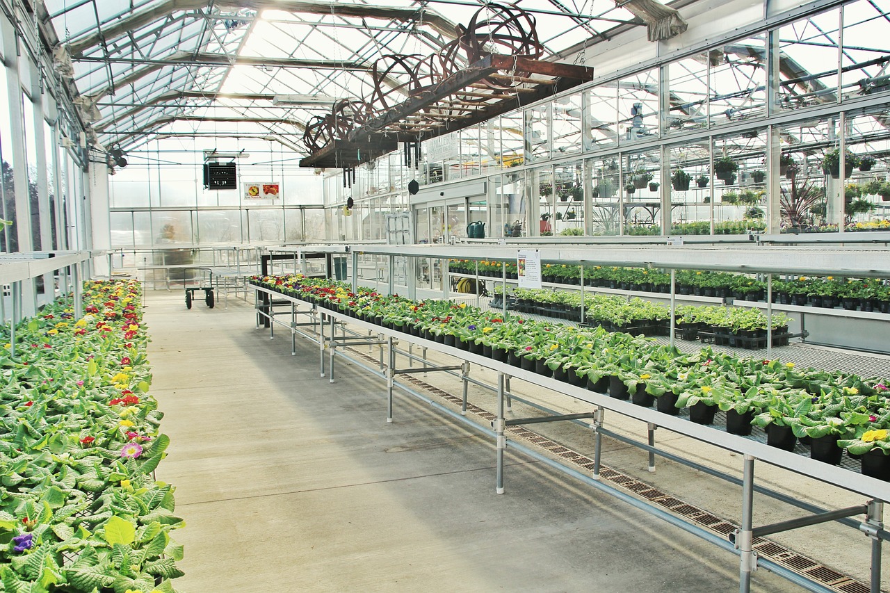 Ultra-affordable GREENHOUSE design and plans! (Glamping cabin?)