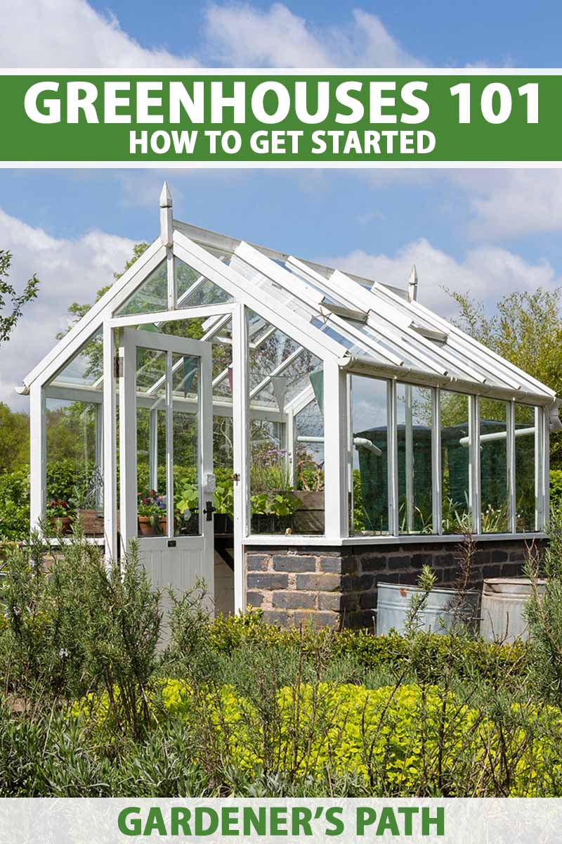 Greenhouses 101: Everything You Need to Know