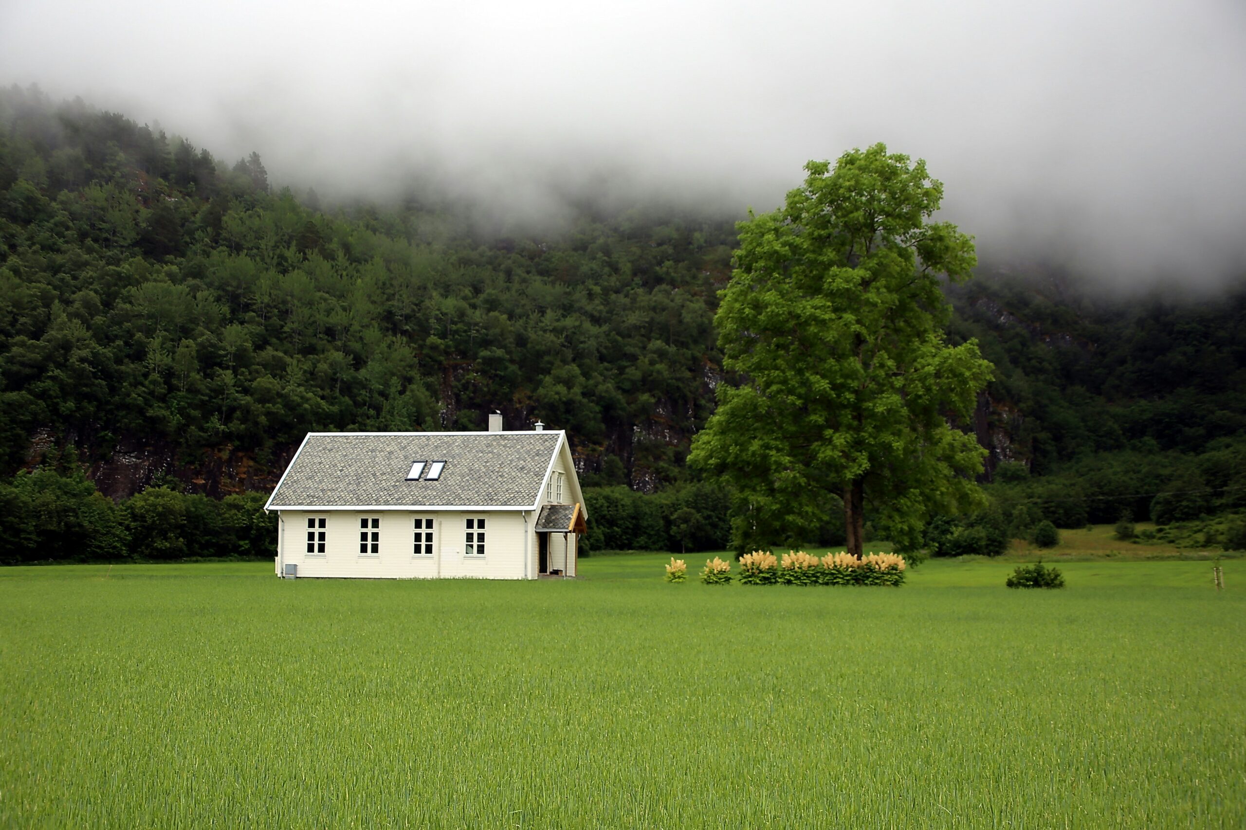 WoW - amazing ideas / Cool Green House For Your Dogs Happy / Cement And Wooden Pallet Creation WoW - amazing ideas / Cool Green House For Your Dogs Happy / Cement And Wooden Pallet Creation