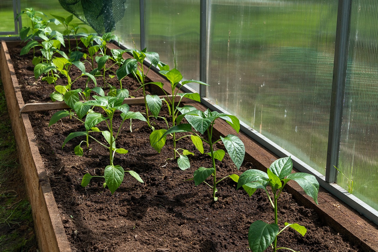 DIY Greenhouse Shelving Design | STEP BY STEP | EASY  SIMPLE
