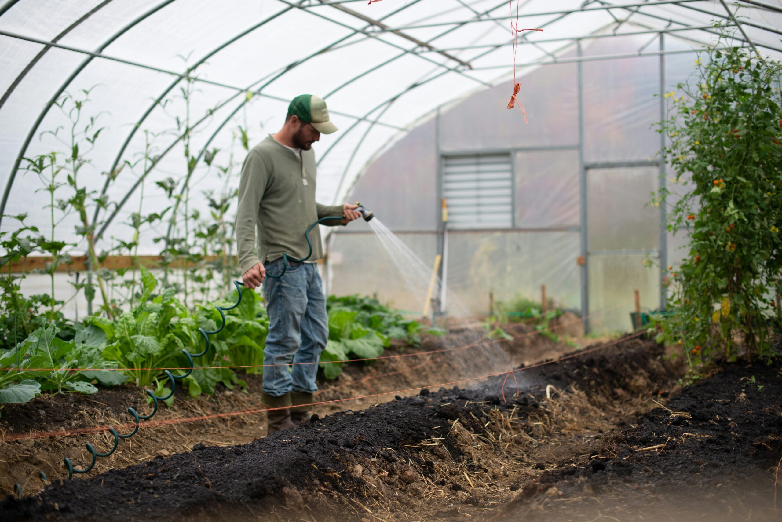 How to Build a Greenhouse
