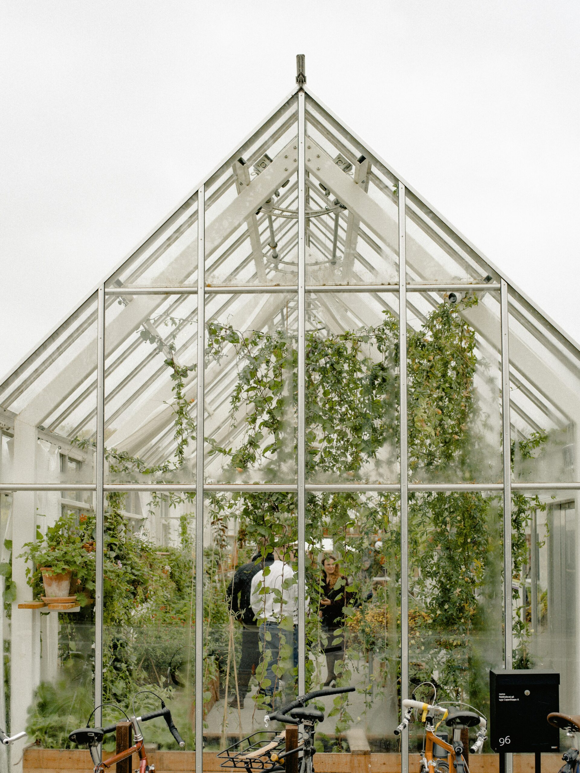 THE GREENHOUSE REVEAL!  ???? |  Upcycled doors, planting vegetables + custom  diy sign! | DIY Danie