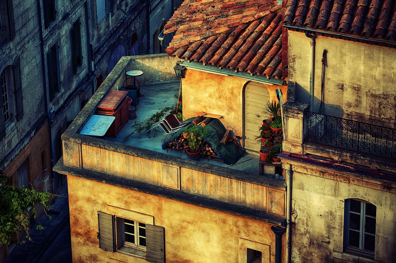 MAKING OF TERRACE GARDEN | Gardening Ideas for Home | SHADE HOUSE DESIGN