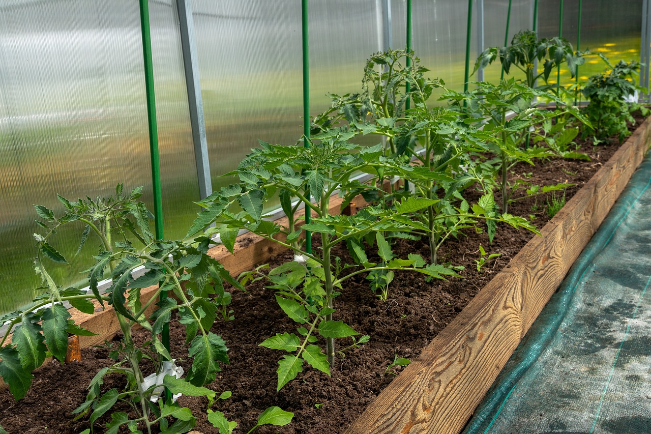BUILDING A GREENHOUSE IN WINTER - TUFTEX PANELS