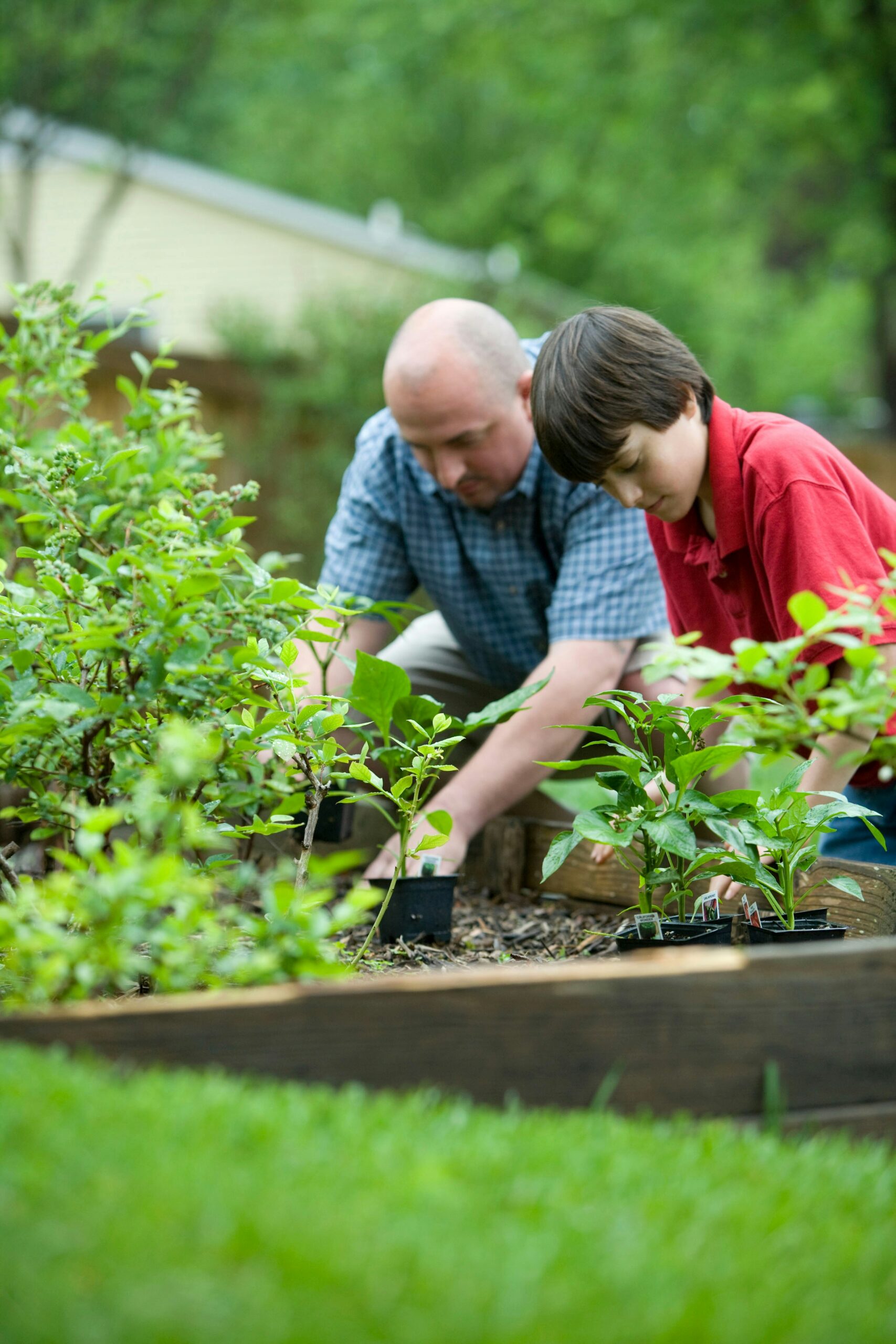 35 Useful Gardening Hacks || Easy Ways to Grow And Collect Food