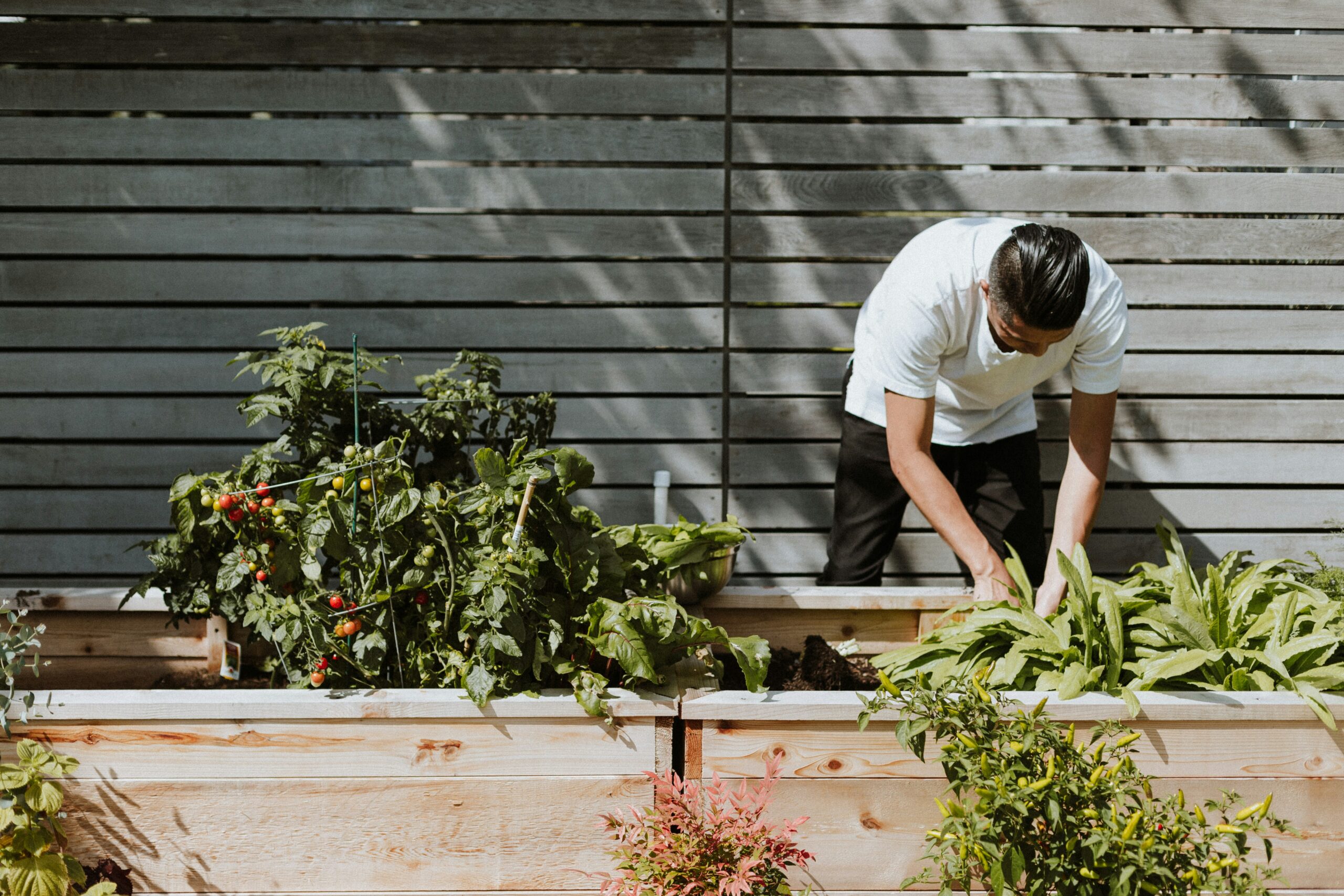 35 Useful Gardening Hacks || Easy Ways to Grow And Collect Food