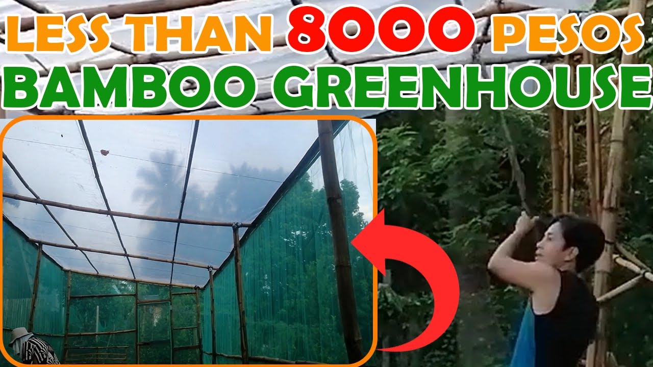 BUILDING OUR LOW COST BAMBOO GREENHOUSE TIMELAPSE - 10 Minutes