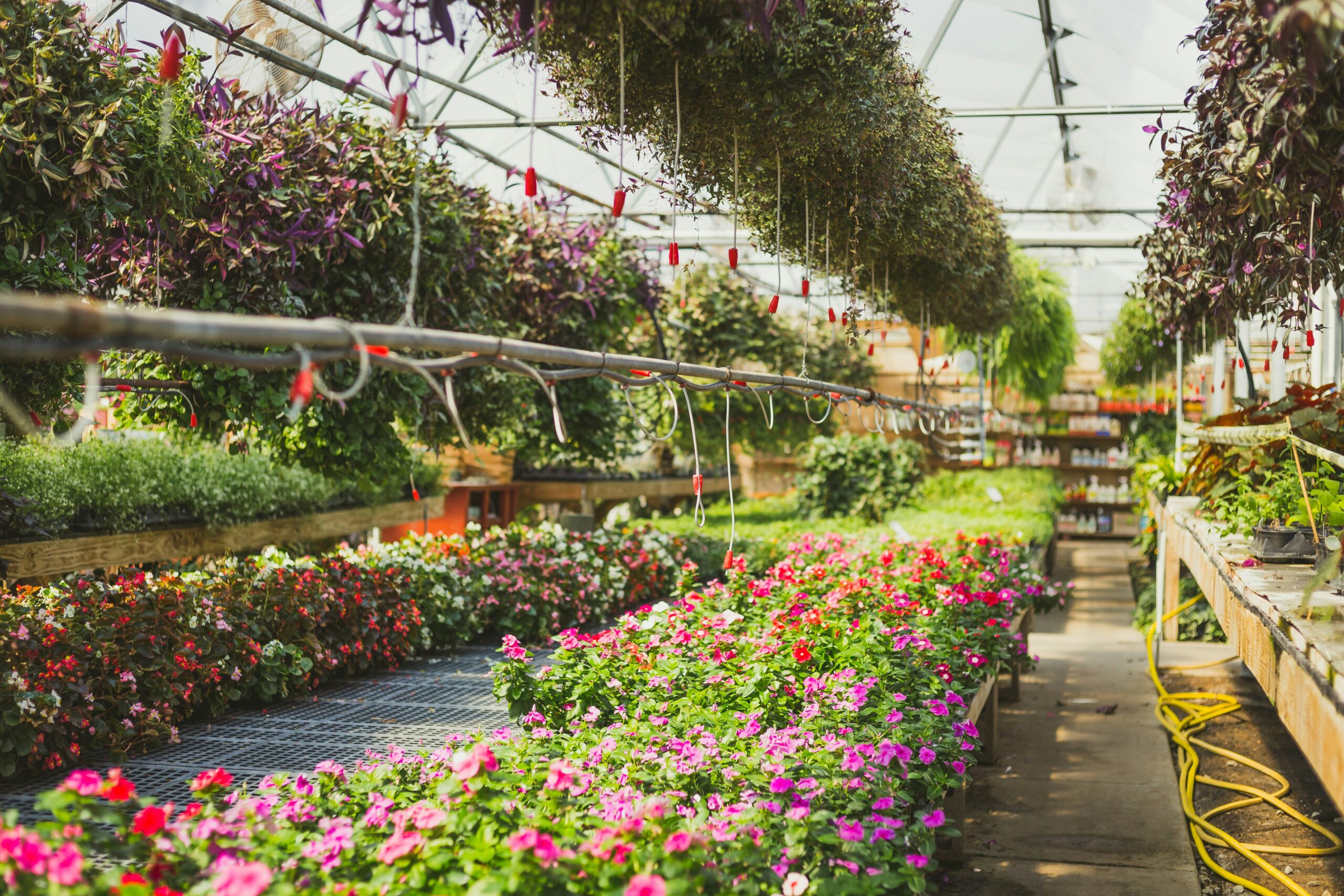 Setting Up Your First Greenhouse Garden