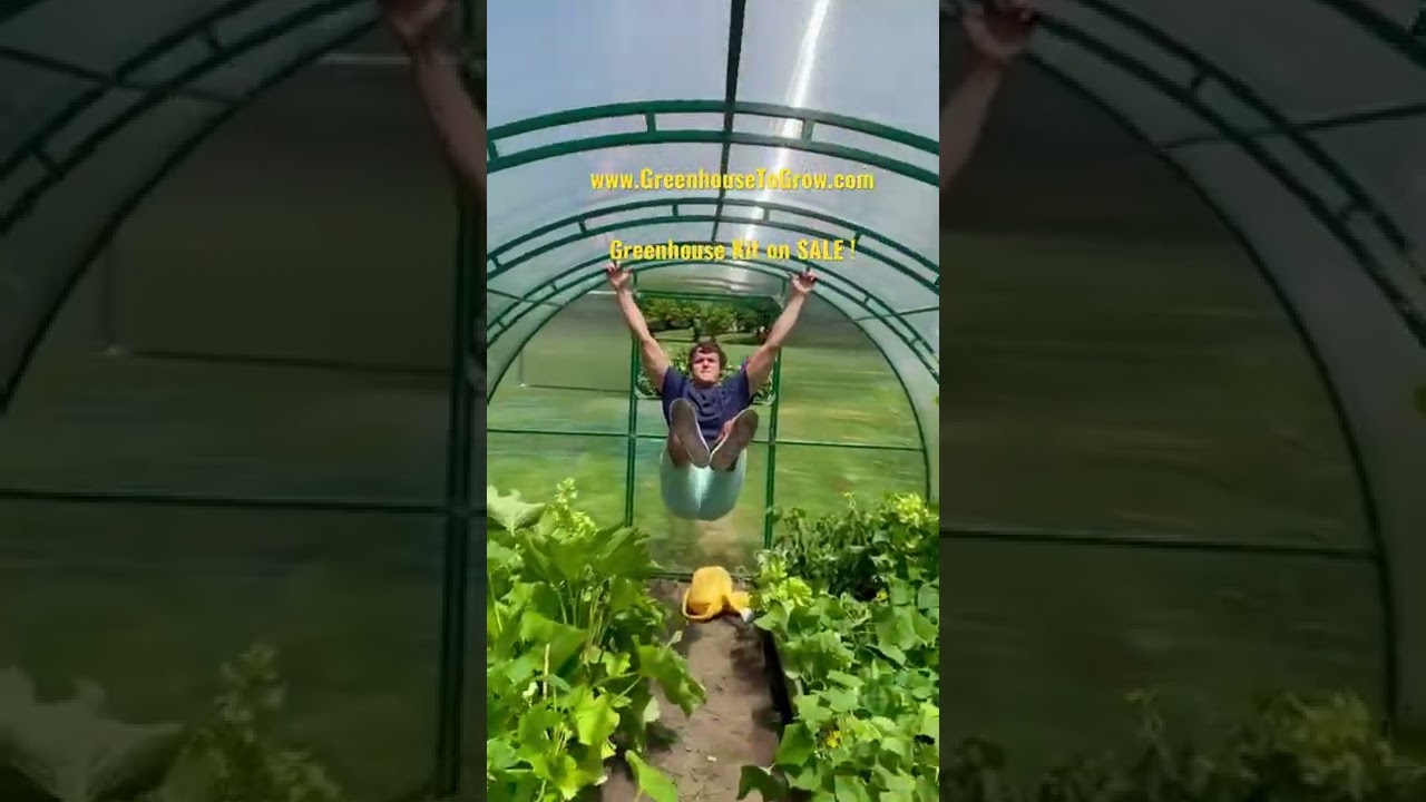 Setting Up Your First Greenhouse Garden