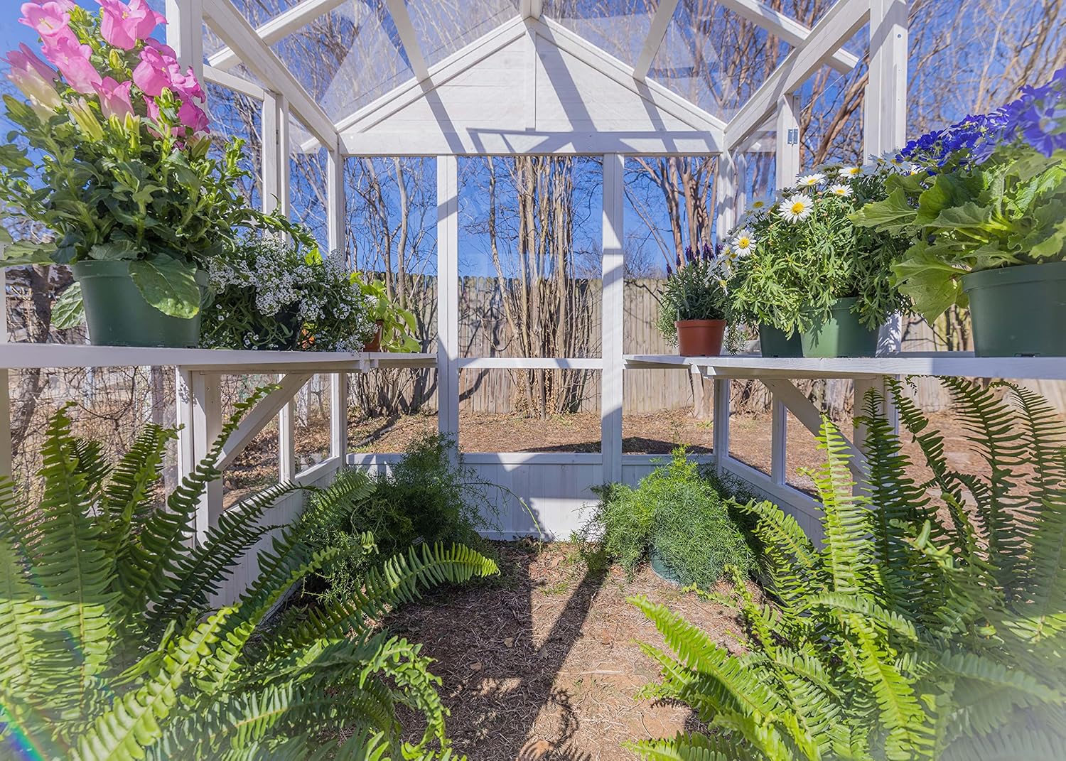 Hobby Greenhouse is Perfect for The Backyard Gardener to Extend The Growing Season and Protect Fruits, Vegetables, Flowers or Herbs from Extreme hot or Cold Weather. Dimensions: 72x72x84
