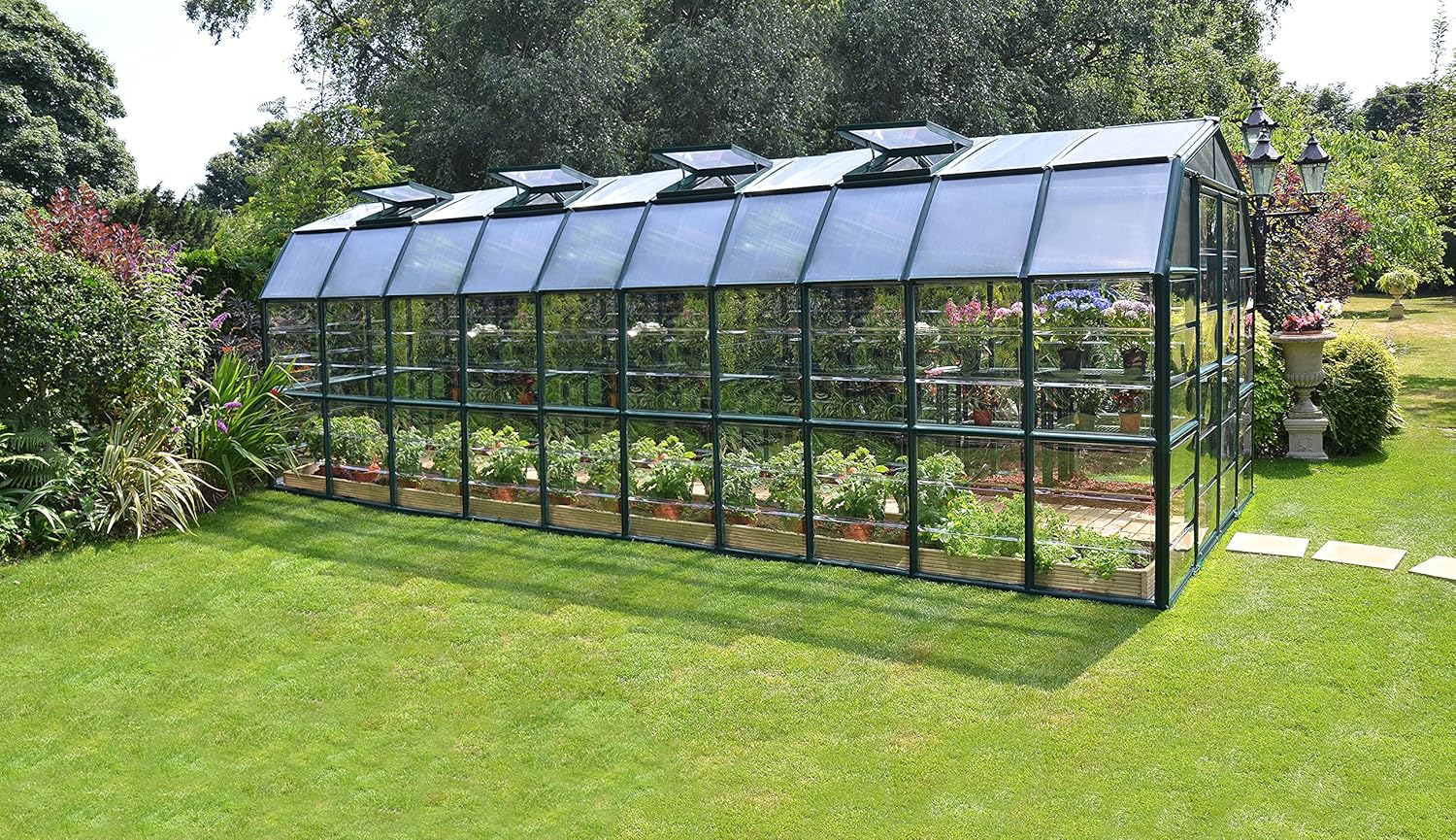 Palram - Canopia Rion Grand Gardener 2, 8 Ft. x 12 Ft. Greenhouse, Large Clear Twin Wall Polycarbonate Heavy Duty Green House DIY Kit for Garden, Plants, Walk-In for Outdoors with Window Vent (Green)