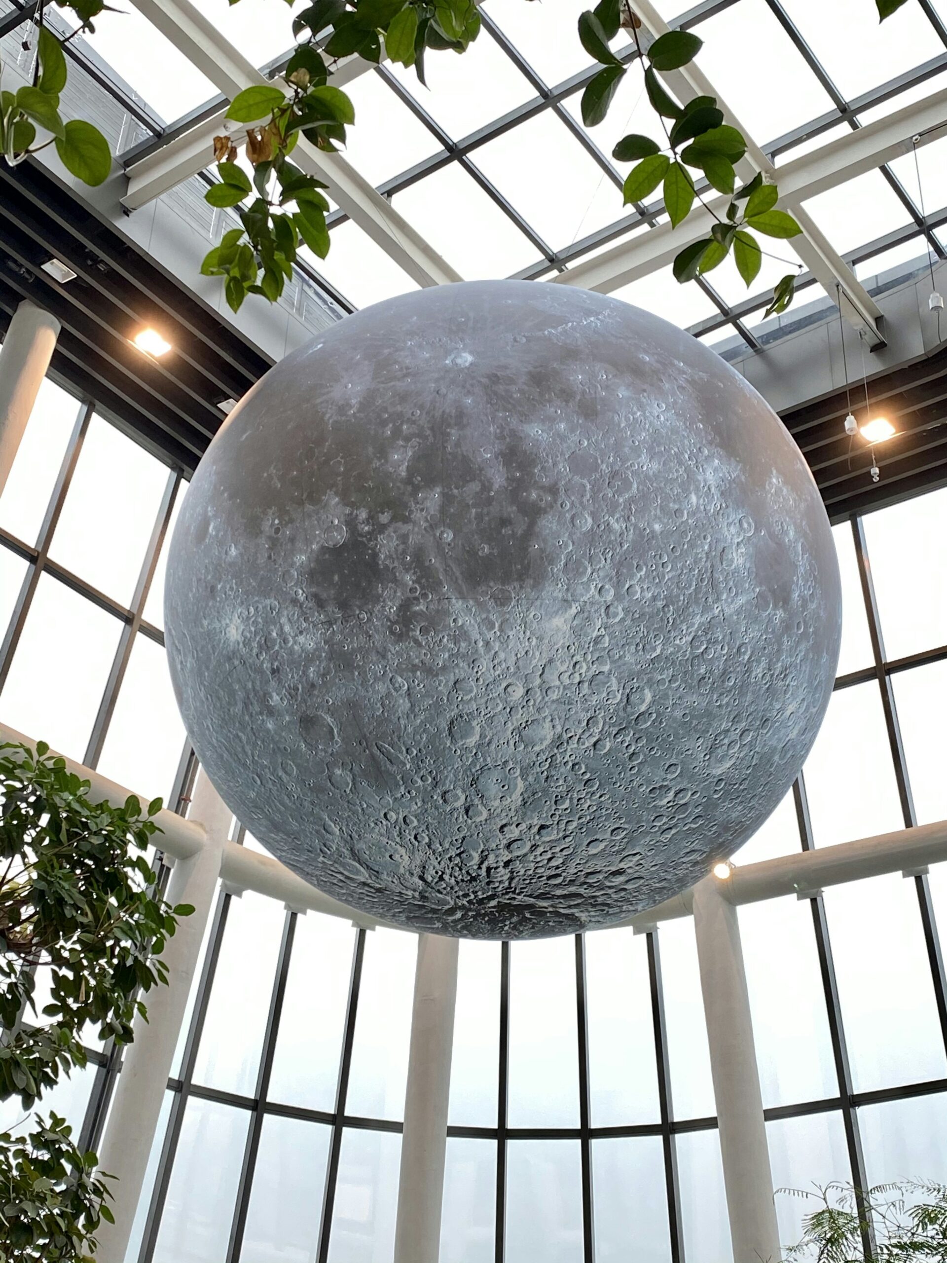 STEM Challenges: Lunar Greenhouse Design Ideas