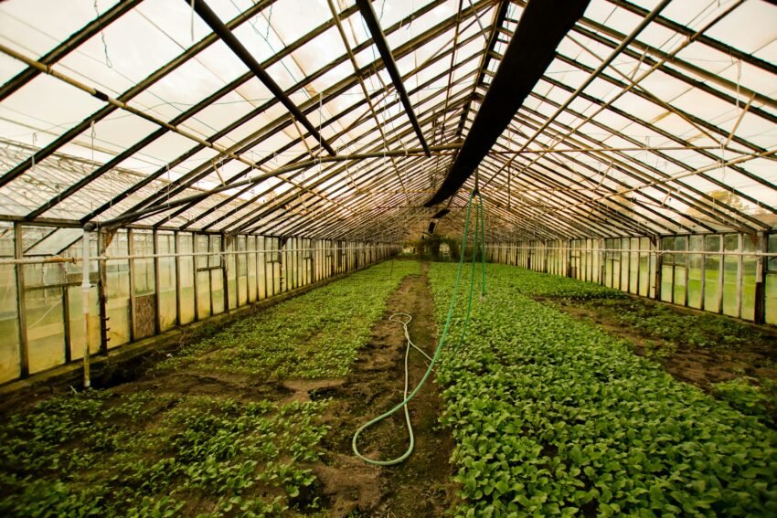 Greenhouse Installation in Muranga: Synnefa – Greenhouse Design Ideas
