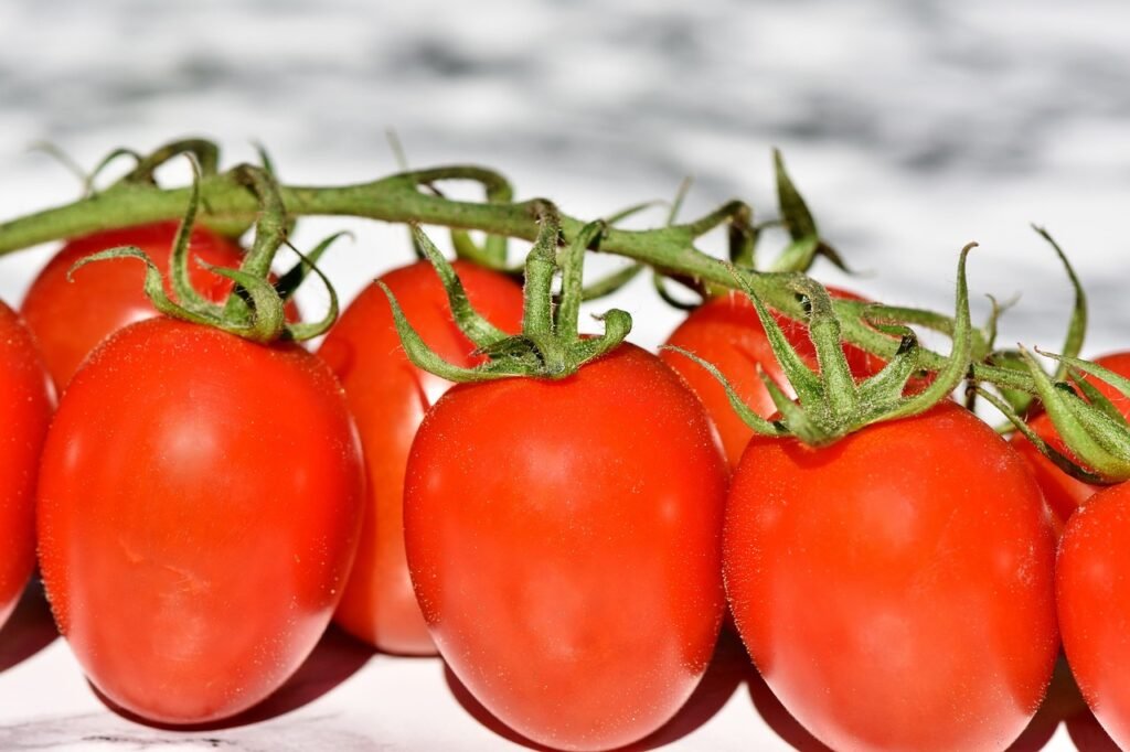 How To Grow Greenhouse Tomatoes | #1 Most Profitable Crop In The Market Garden