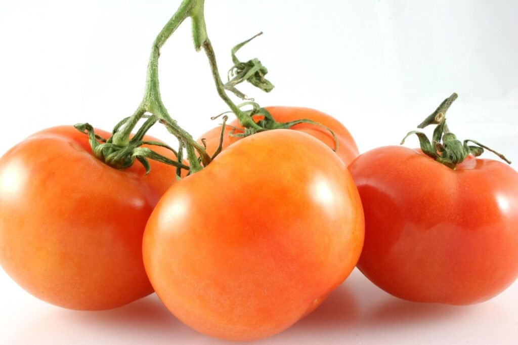 How To Grow Greenhouse Tomatoes | #1 Most Profitable Crop In The Market Garden