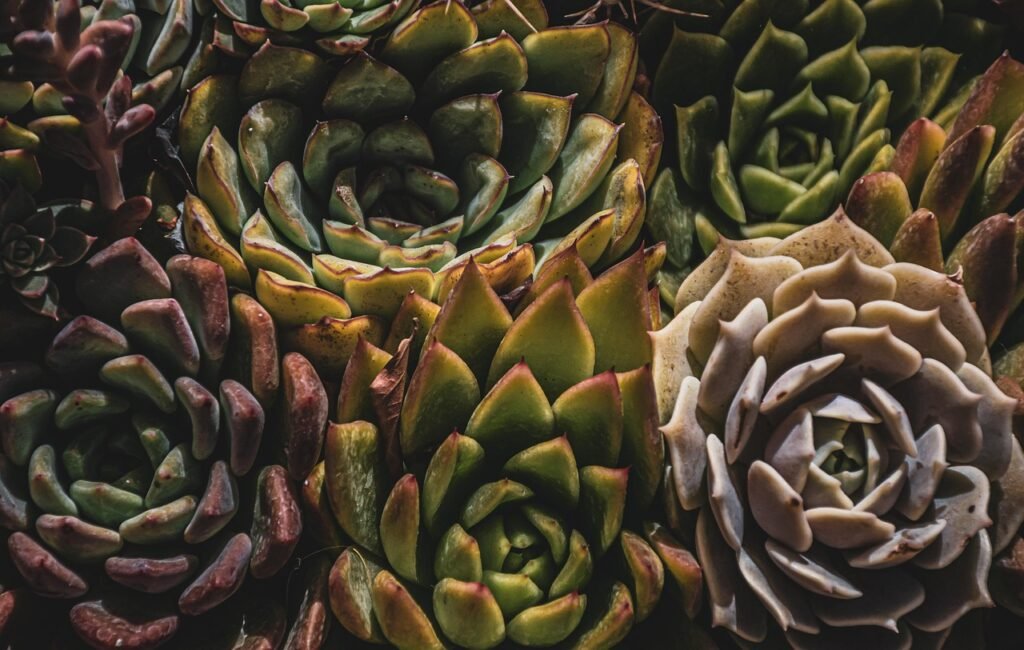 Learn How to Grow Vegetables in a Greenhouse With These Helpful Tips!