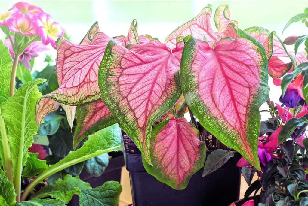Learn How to Grow Vegetables in a Greenhouse With These Helpful Tips!
