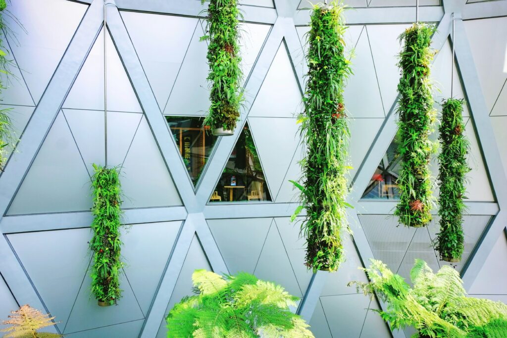 DIY Greenhouse Design: Smart, Sustainable  Cost‑Effective Ideas