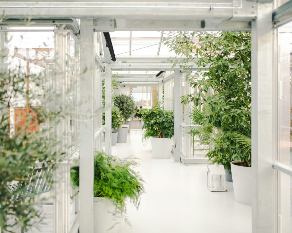 DIY Greenhouse Design: Smart, Sustainable  Cost‑Effective Ideas
