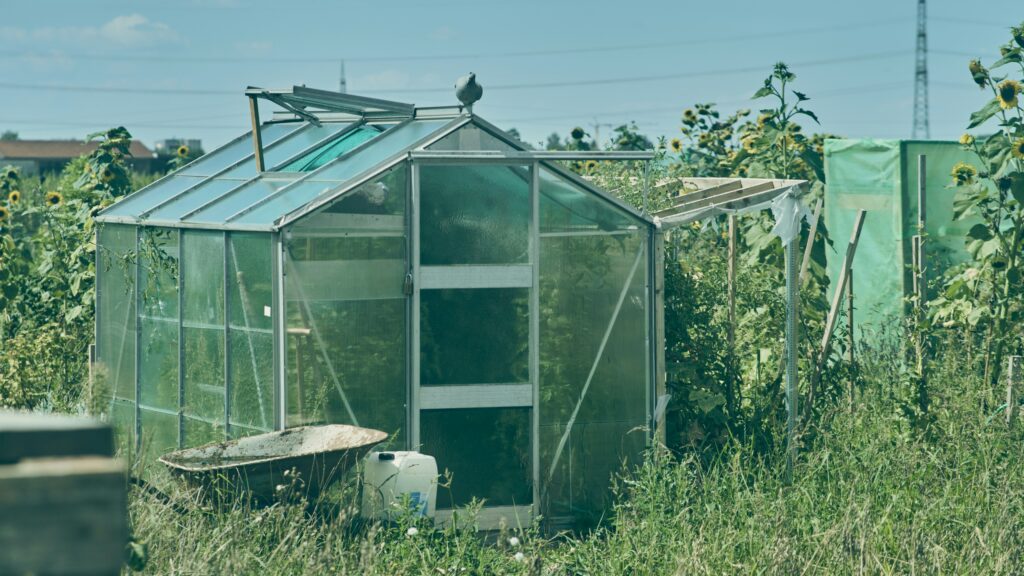 DIY PVC Greenhouse Cover: Affordable Small Greenhouse Guide