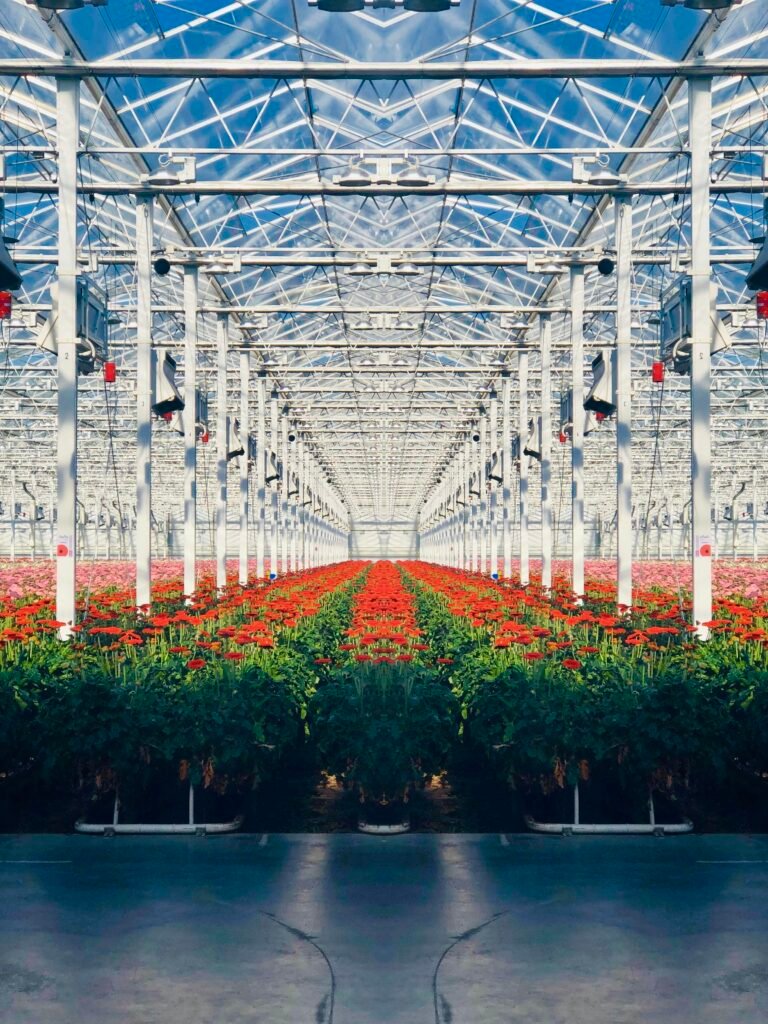 Efficient Greenhouse Design: Masterplan for Year-Round Food Efficient Greenhouse Design: Masterplan for Year-Round Food