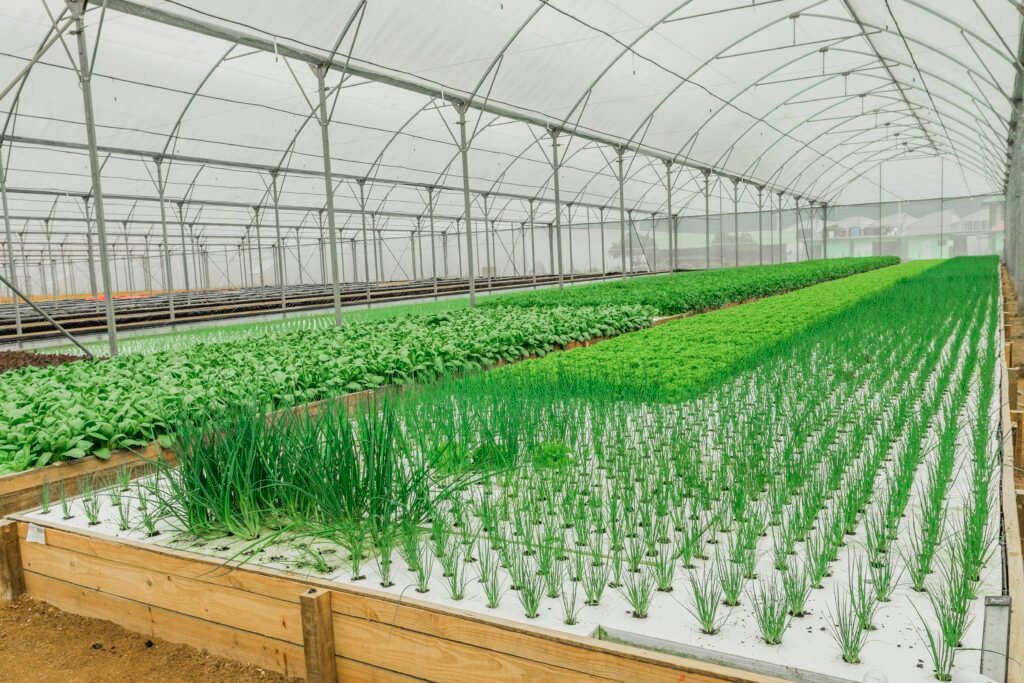 Efficient Greenhouse Design: Masterplan for Year-Round Food Efficient Greenhouse Design: Masterplan for Year-Round Food