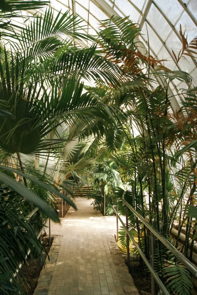 Efficient Greenhouse Design: Masterplan for Year-Round Food Efficient Greenhouse Design: Masterplan for Year-Round Food