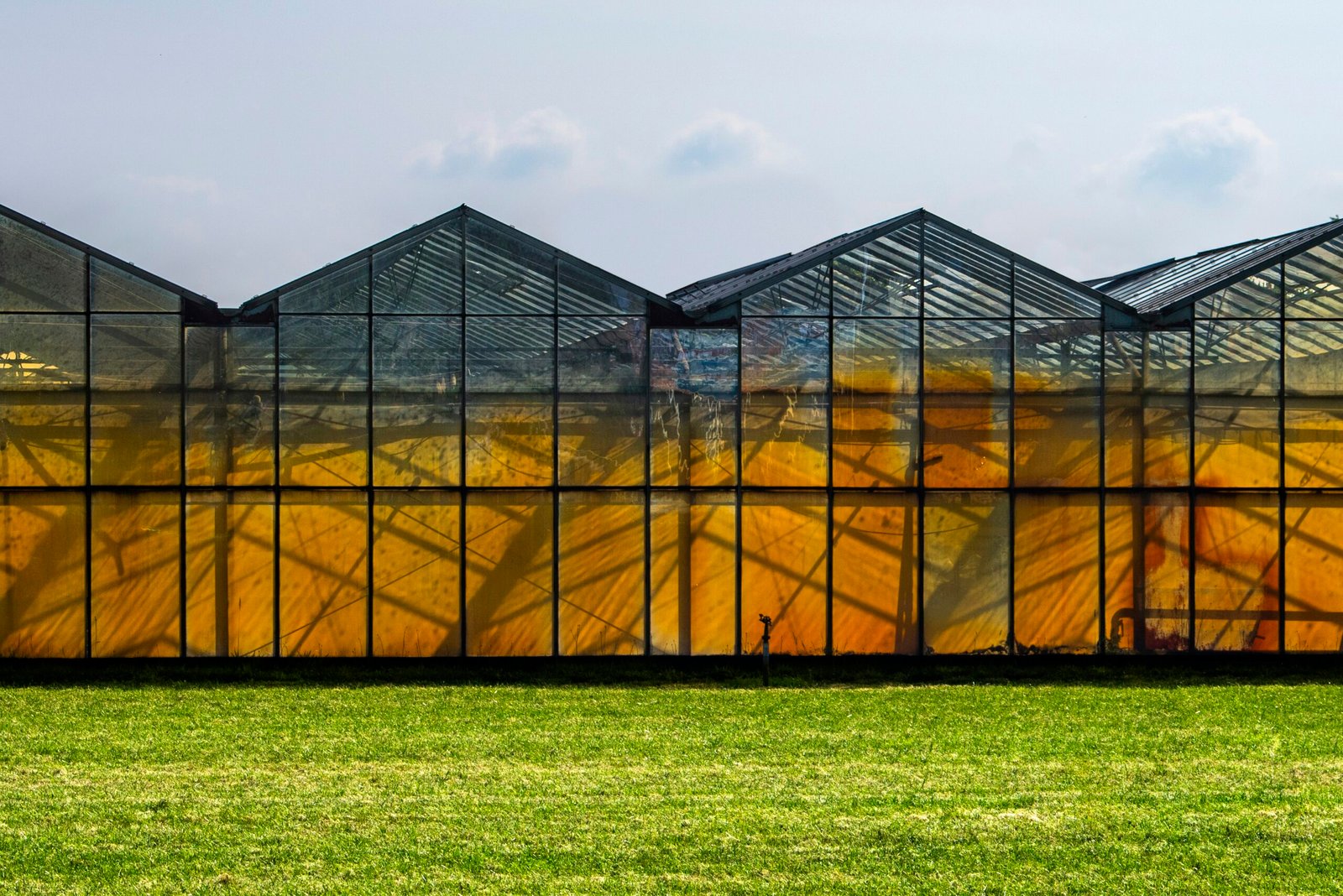 Affordable Greenhouse Construction and Low-Cost Farming Guide