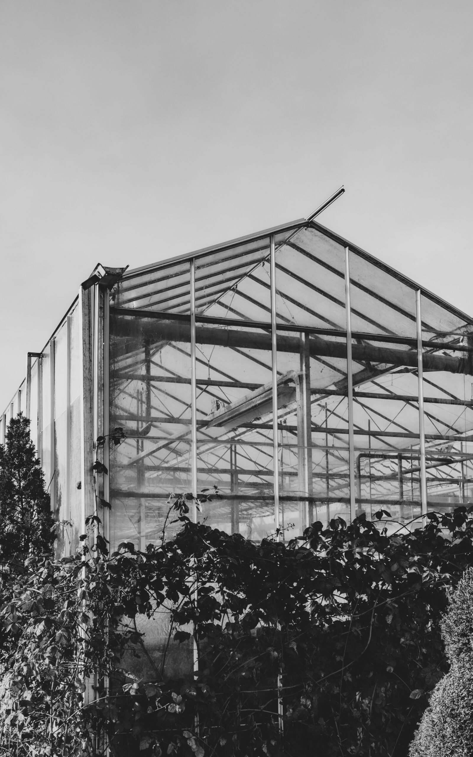 Affordable Greenhouse Construction and Low-Cost Farming Guide