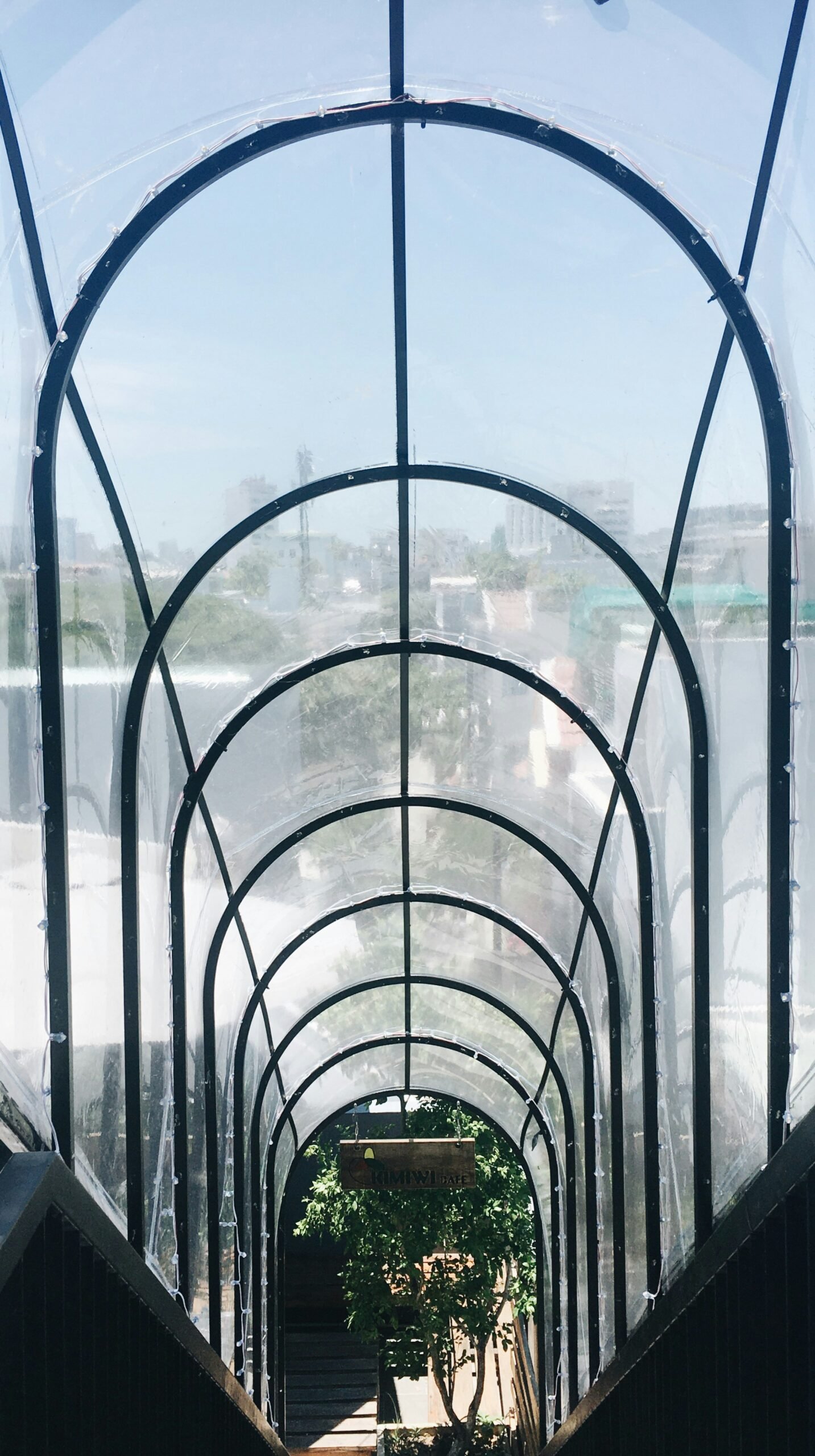 Build a PVC Arched Greenhouse: DIY Kit Guide (2026) Build a PVC Arched Greenhouse: DIY Kit Guide (2026)