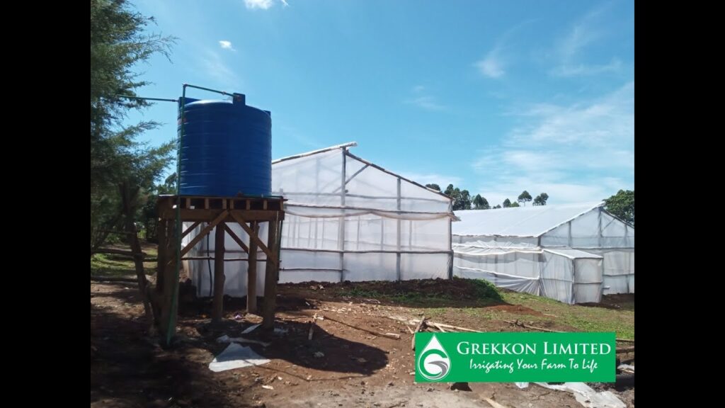 Steps in Wooden Greenhouse Construction in Kenya - Greenhouse Farming in Kenya - GREKKON LIMITED