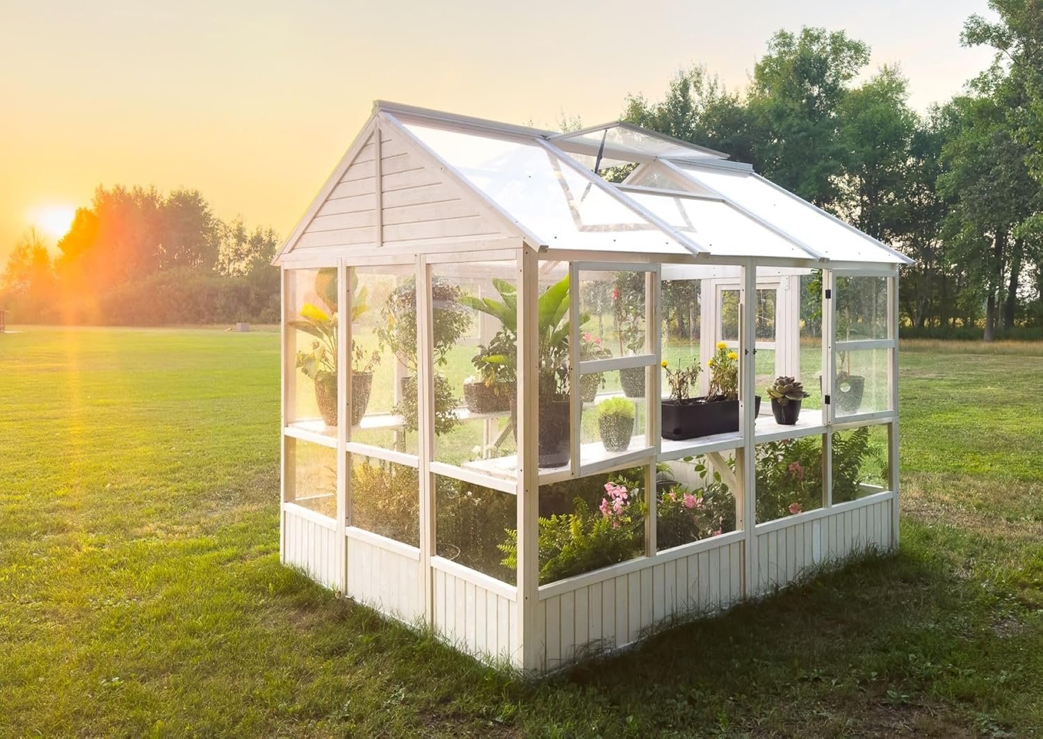 Zylina XL Hobby Greenhouse is Perfect for The Backyard Gardener to Extend The Growing Season and Protect Fruits, Vegetables, Flowers or Herbs from Extreme hot or Cold Weather. Dimensions: 103x7889