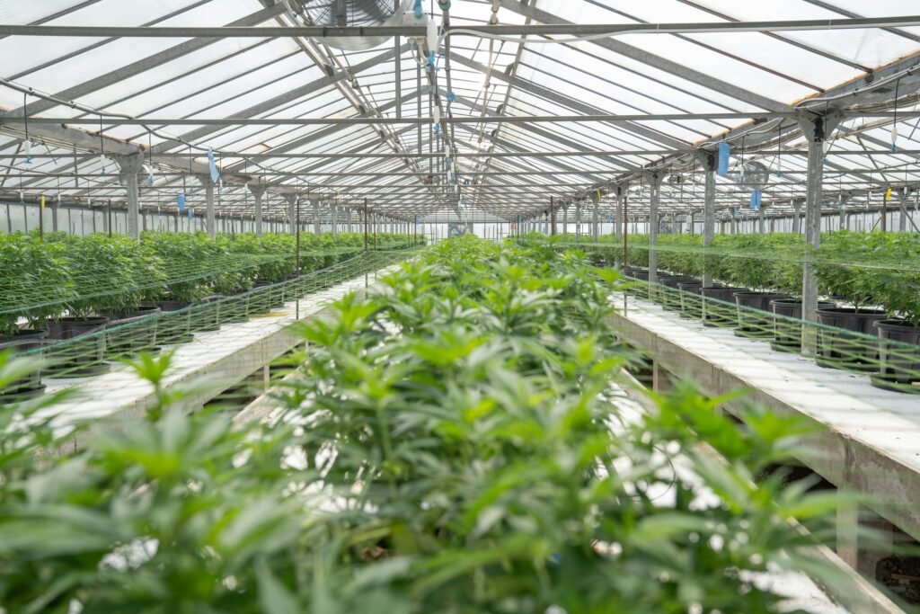 Budget Climate Battery for Greenhouses: Build One Fast Budget Climate Battery for Greenhouses: Build One Fast