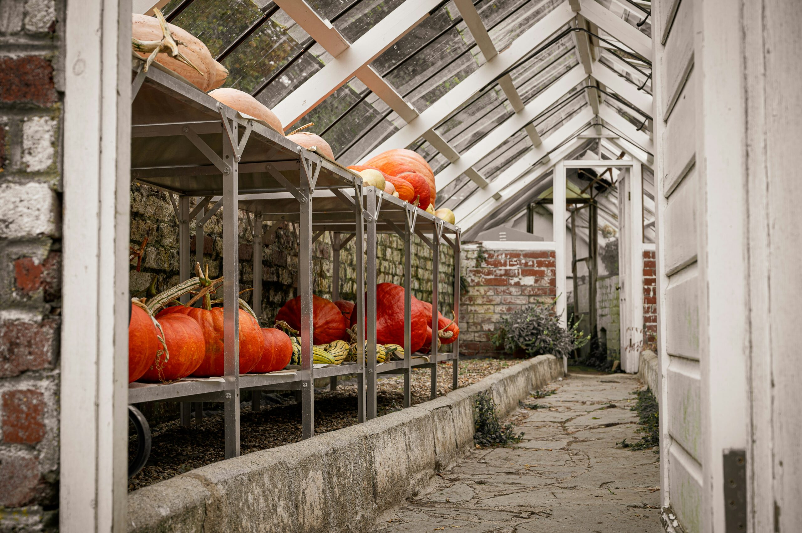 Garden Shed Greenhouse Roof Guide: Build Strong Rafters Garden Shed Greenhouse Roof Guide: Build Strong Rafters