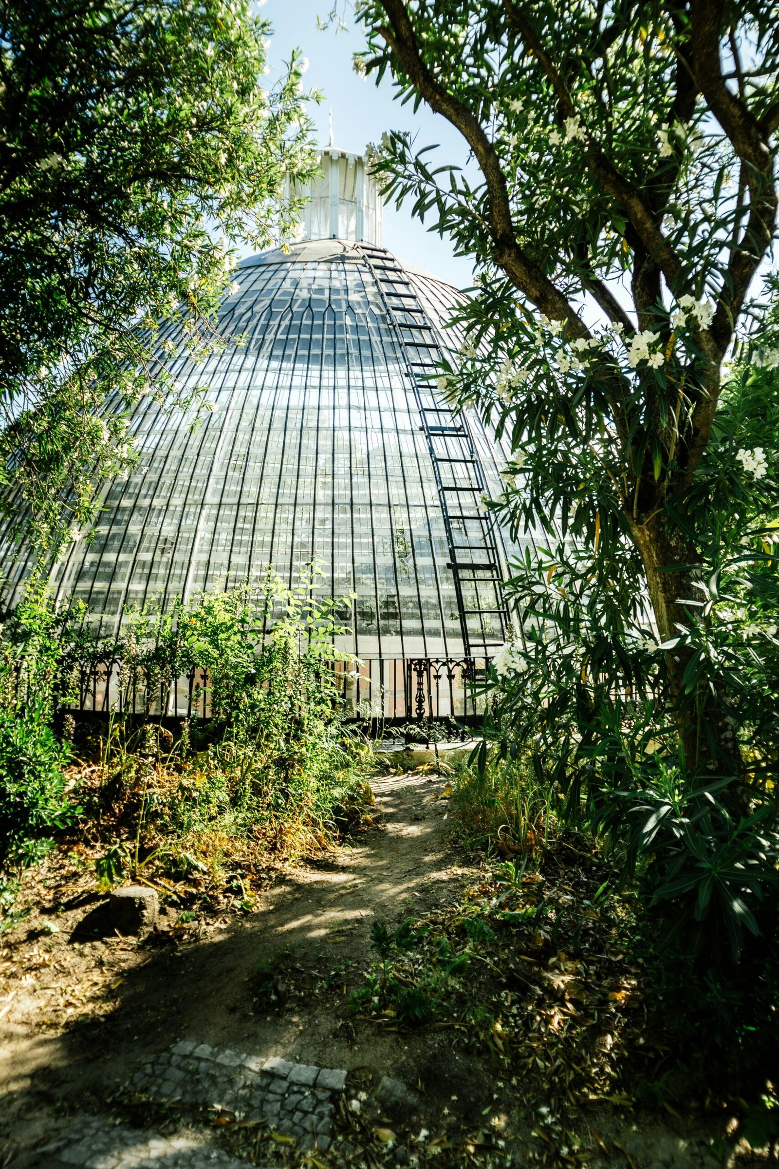 Greenhouse Attached to House: Nature House Design Ideas