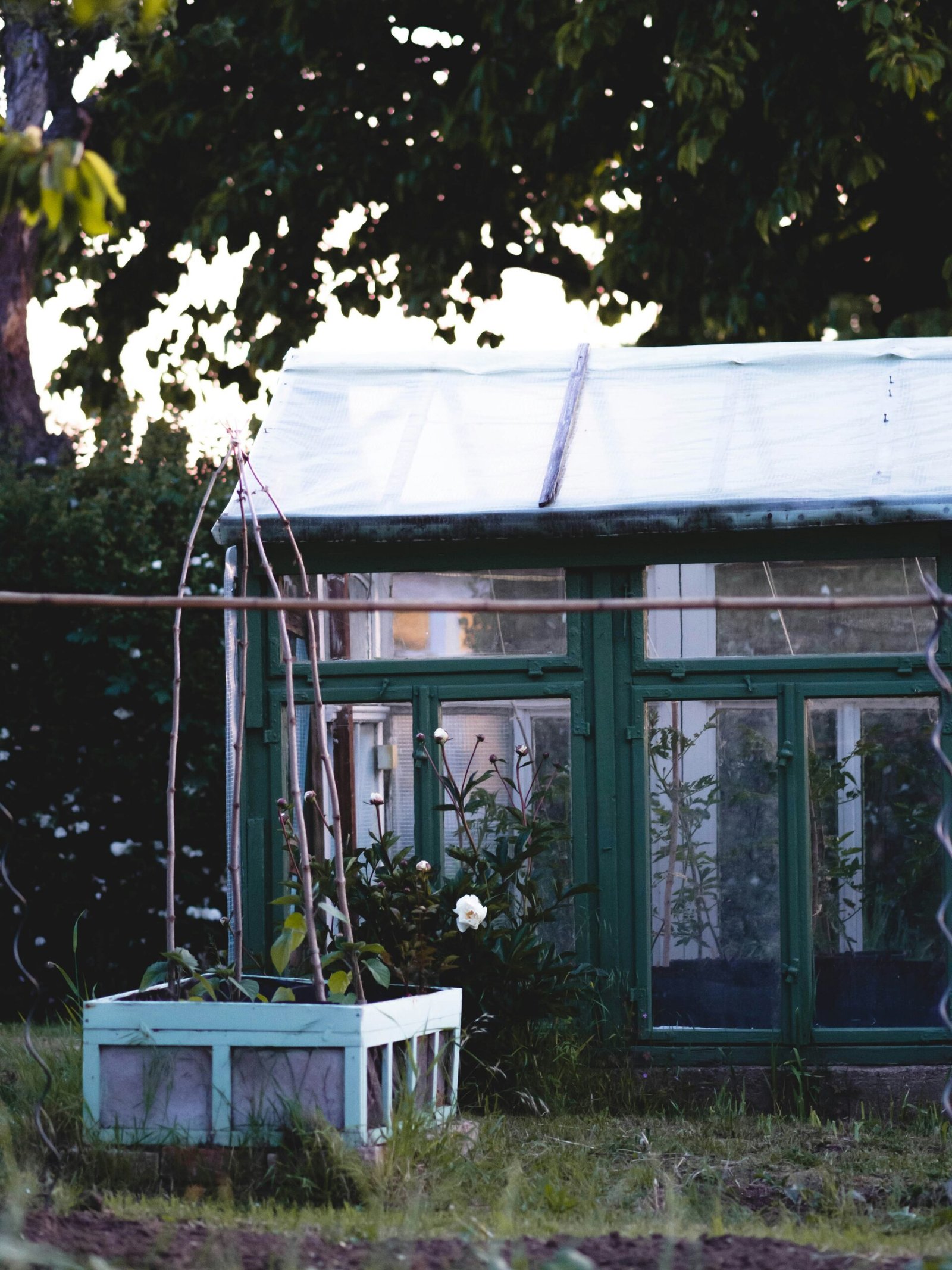 https://www.youtube.com/watch?v=fJ7_xtC_K-s - Rooftop Greenhouse Design: Build a Small Garden Retreat https://www.youtube.com/watch?v=fJ7_xtC_K-s - Rooftop Greenhouse Design: Build a Small Garden Retreat
