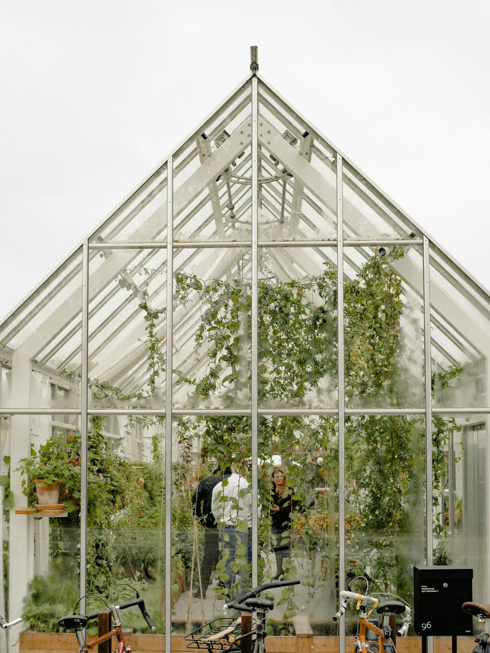 Polytunnel Greenhouse Design: Types, Uses, and Planning Tips