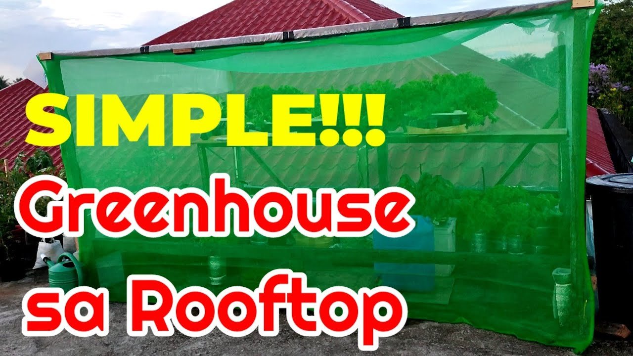Simple Greenhouse sa Rooftop Simple Greenhouse sa Rooftop
