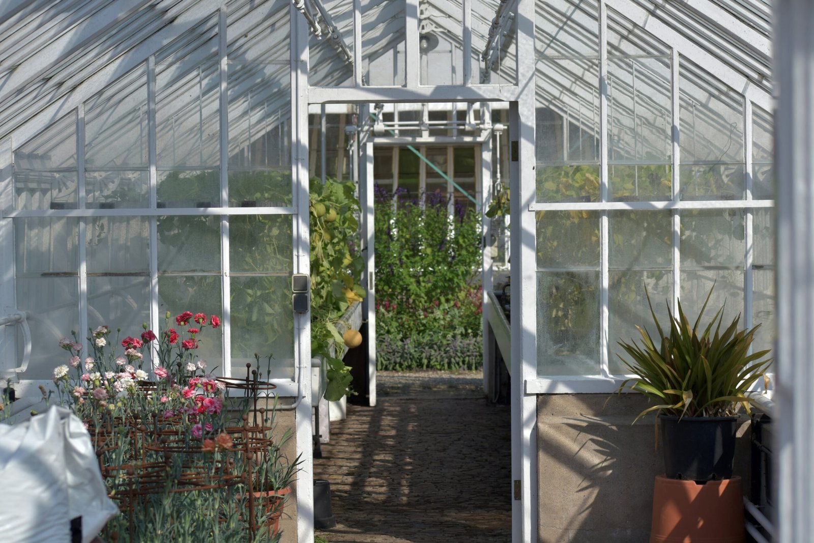 Small Garden Greenhouse Ideas for a Productive Growing Space