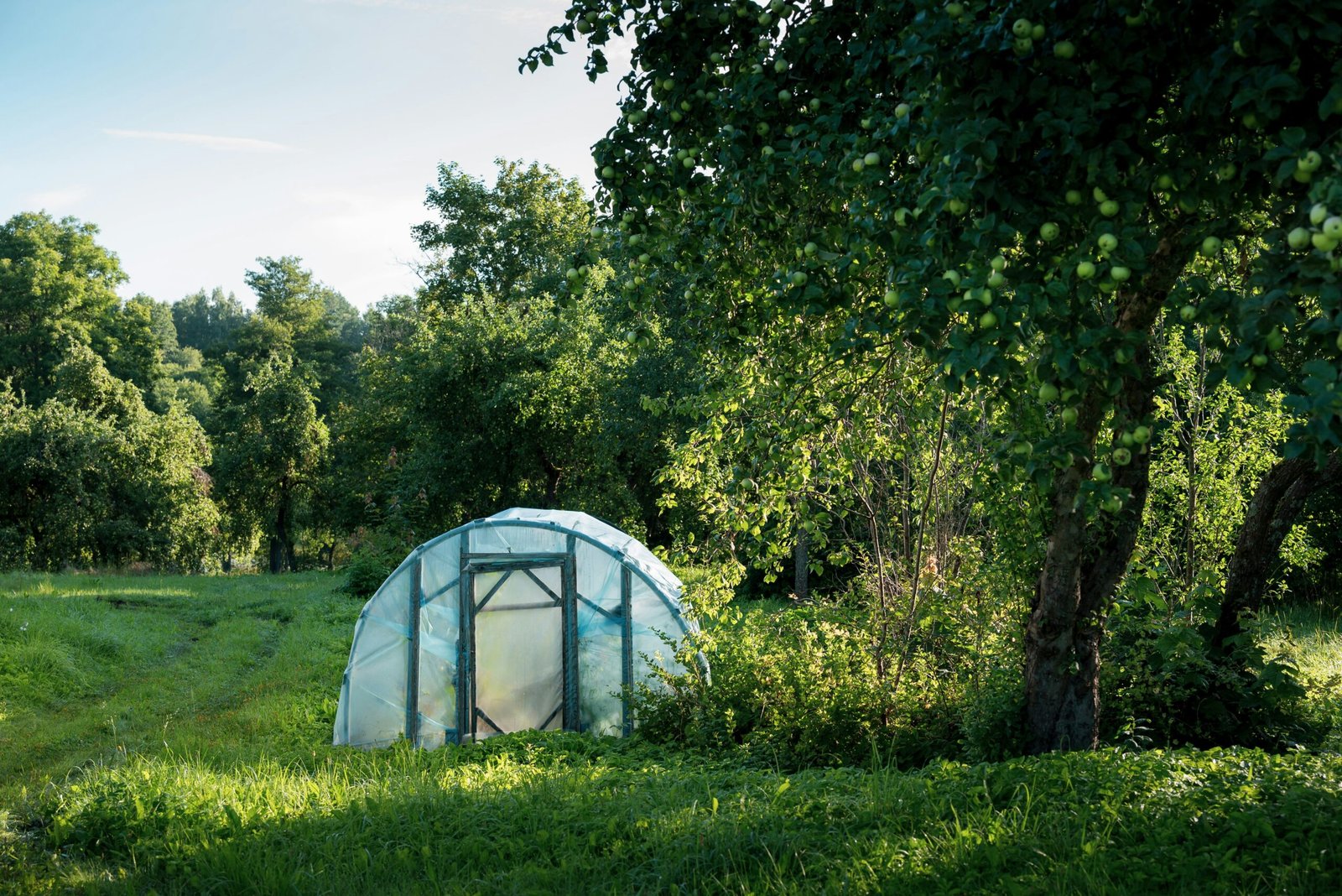 Backyard Greenhouse Design: Styles, Materials and Planning