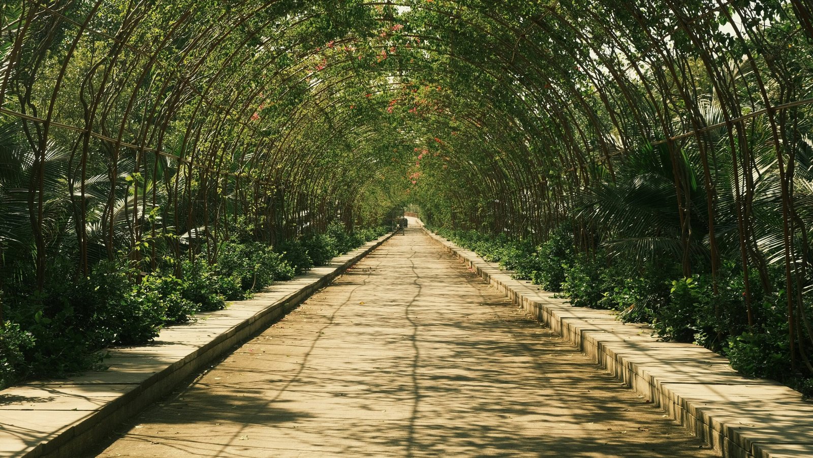 Bamboo Greenhouse for Hydroponics: Design and Build Guide