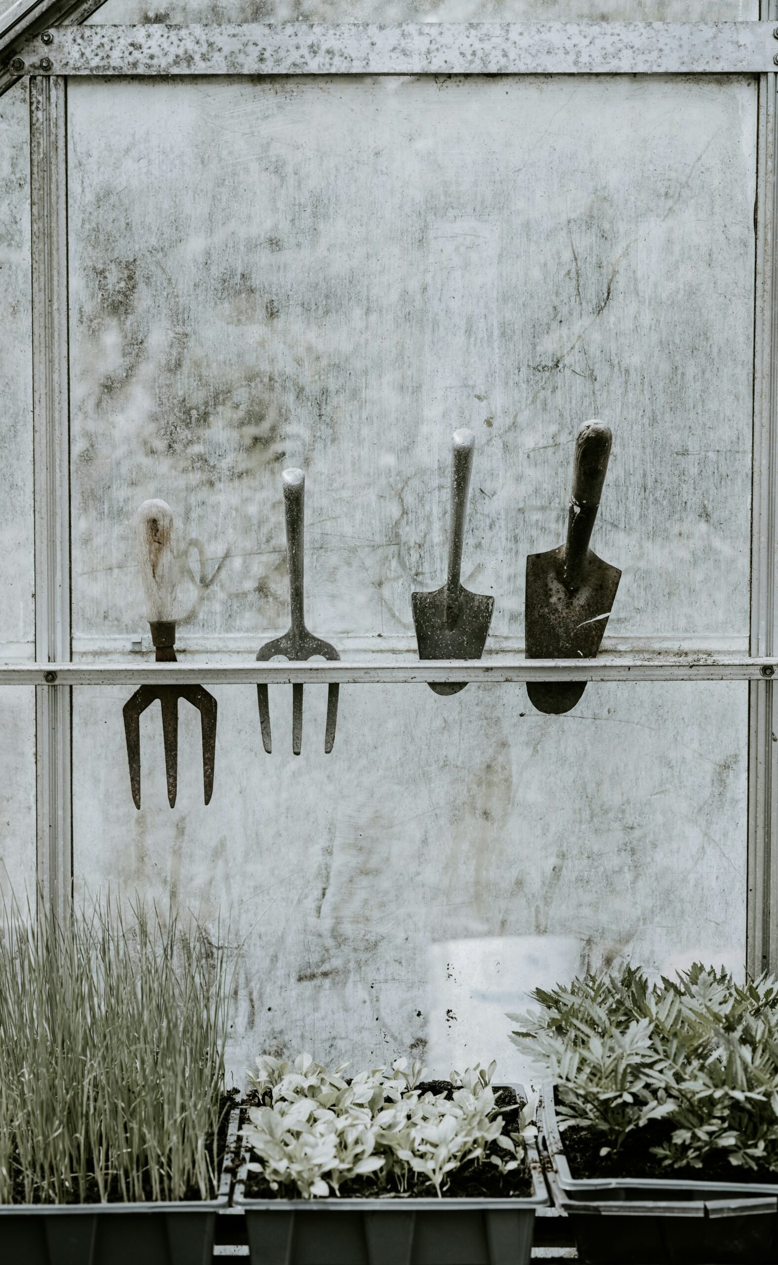 Winter Greenhouse Gardening: Crops, Heat, and Care