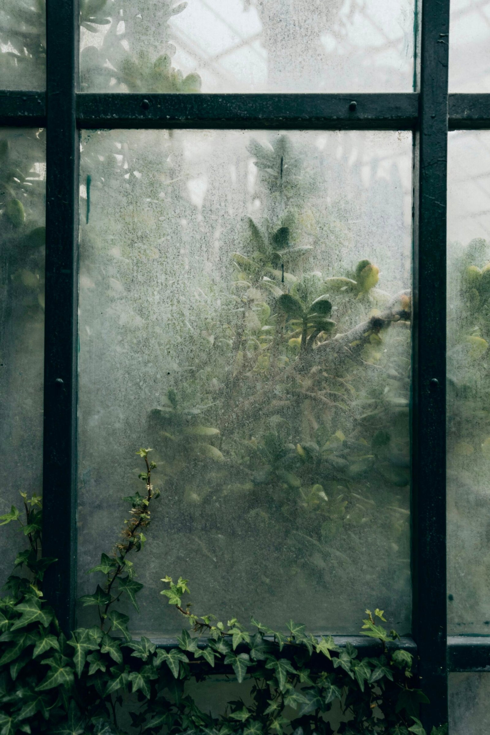 Winter Greenhouse Gardening: Crops, Heat, and Care